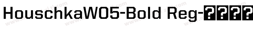 HouschkaW05-Bold Reg字体转换